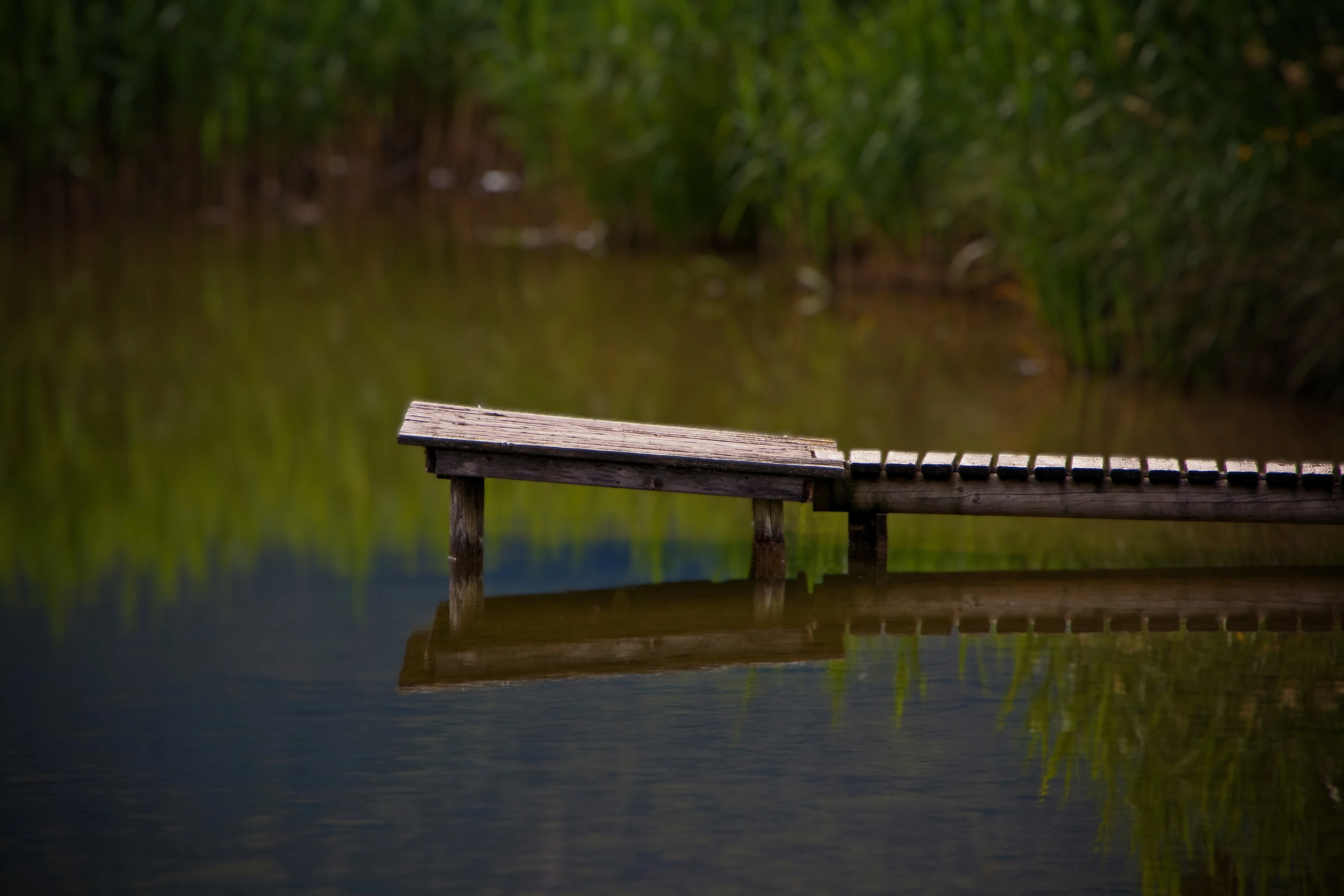 Ein hölzerner Steg, der ruhig in einen See ragt, mit Spiegelungen im Wasser.